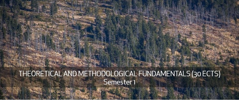 THEORETICAL AND METHODOLOGICAL FUNDAMENTALS (30 ECTS) Semester 1
