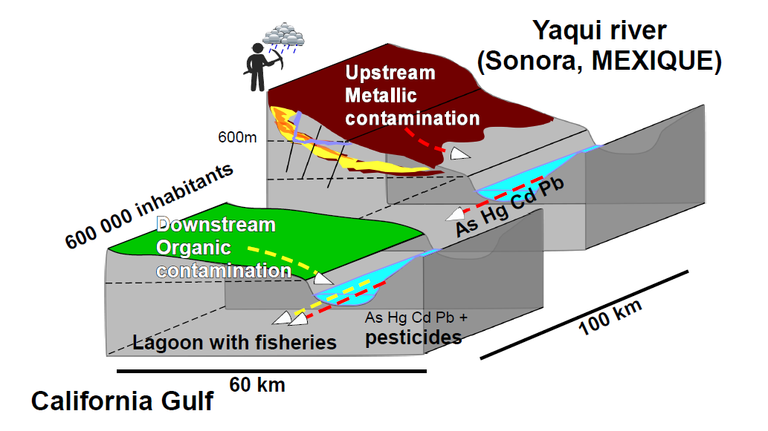 Schematic representation of chemical contamination in the Yaqui hydrosystem: mines in the upstream watershed and agro-business in the downstream part