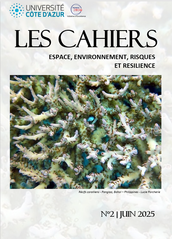 Couverture Les Cahiers Espace, Environnement, Risques et Résilience N°2