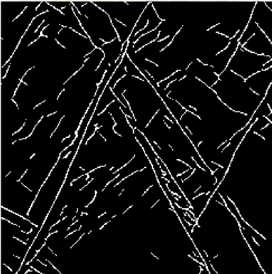 Map of fracture patterns