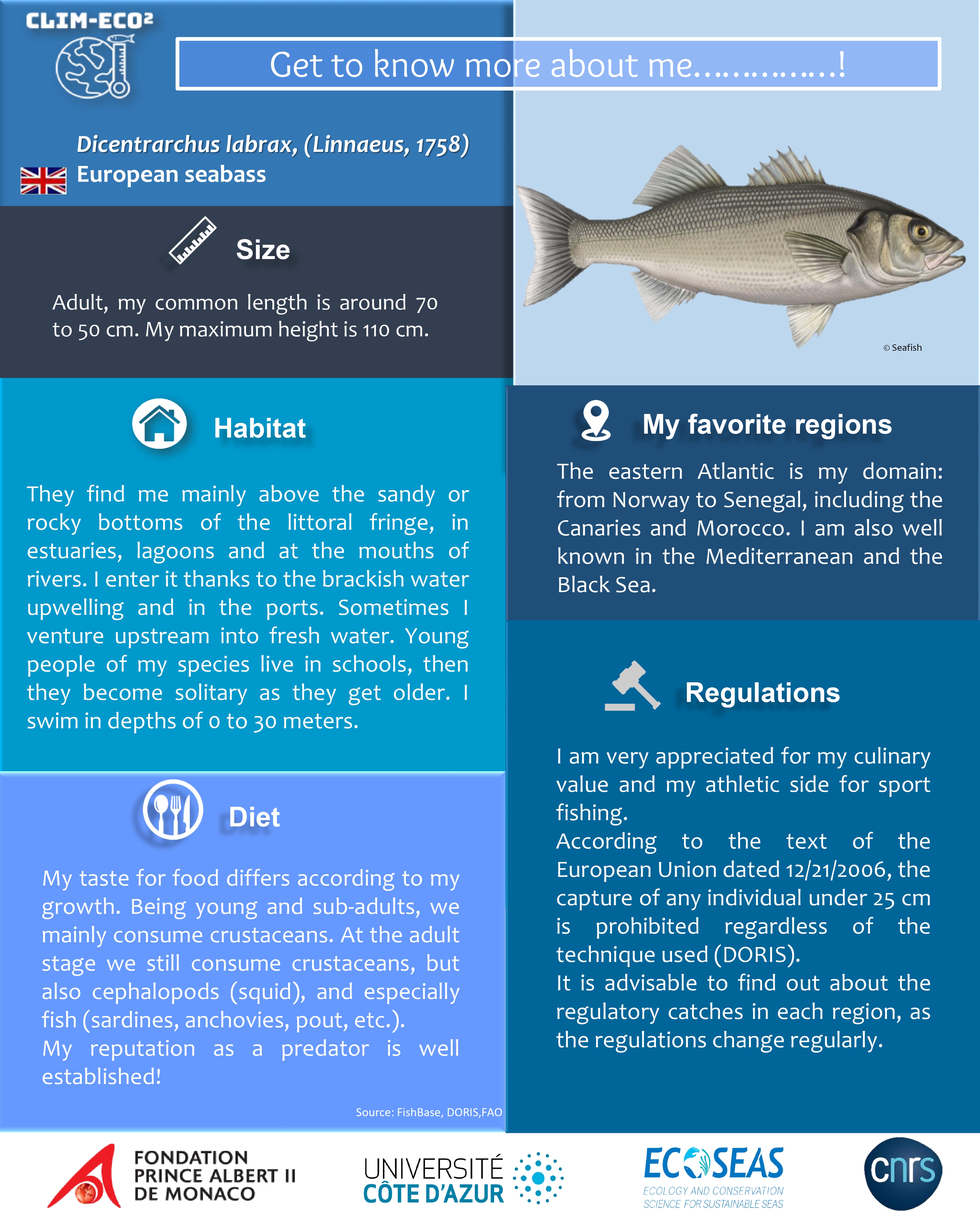 11 Bass fishing infographics ideas