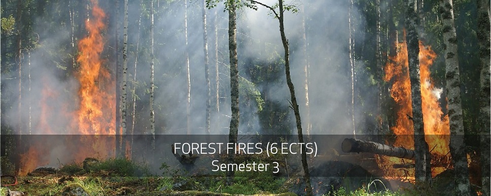 FOREST FIRES (6 ECTS) Semester 3