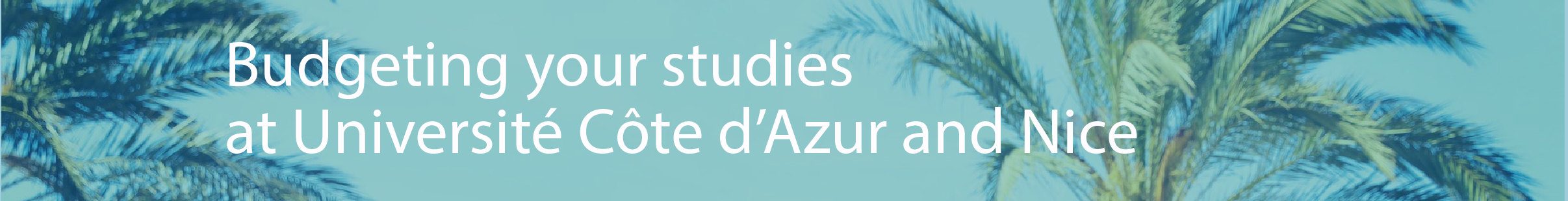 Budgeting your studies at Université Cote d'Azur and Nice
