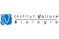 logo IBV