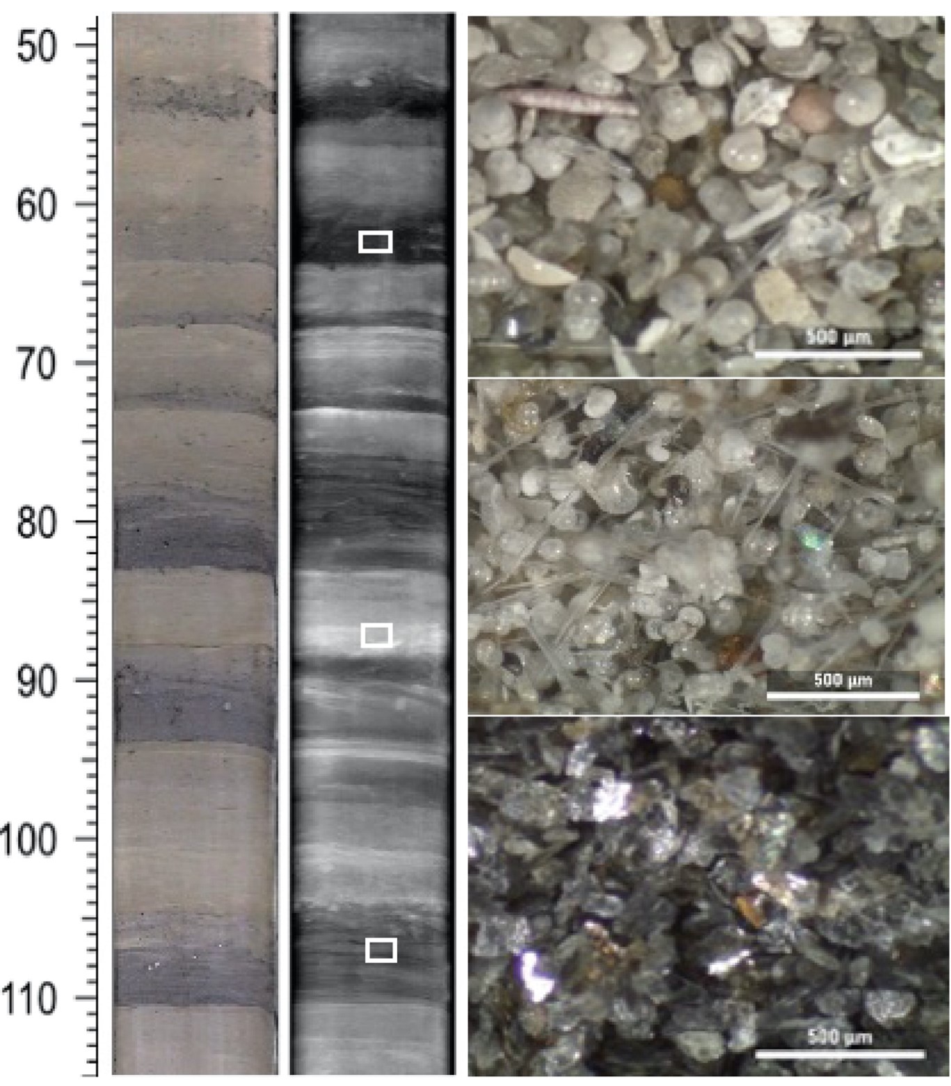 Sediment core containing turbidite deposits with three distinctive origins.