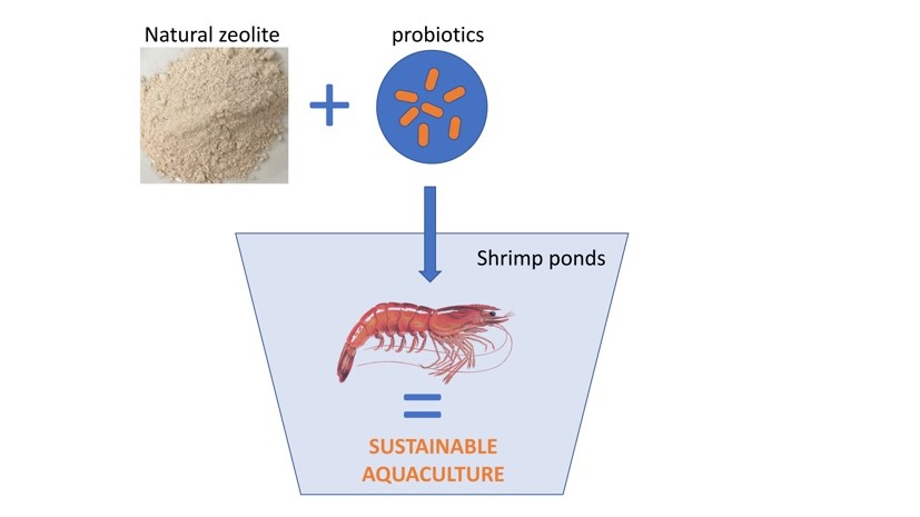 1)	Sustainable aquaculture to reduce pathogen proliferation in shrimp ponds