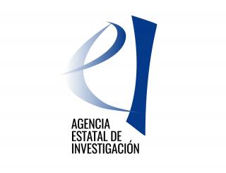 Logo AEI