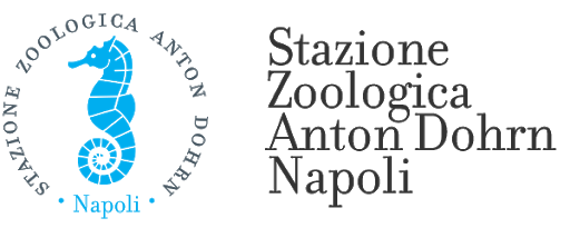 Logo Stazione Zoologica A. Dohrn-National Institute of Marine Biology, Ecology and Biotechnology 