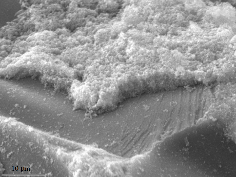 SEM photograph of the nanocomposite bases on biorefinery by-product 