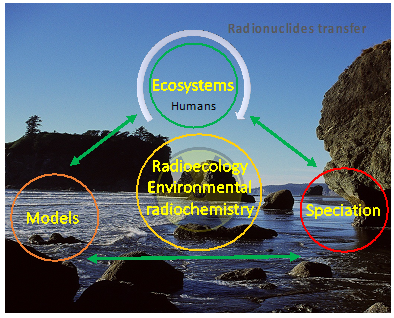 Radioecology, assessing the impact of nuclear activities on marine 