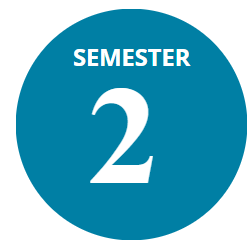 Semester 2