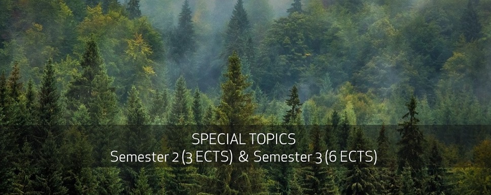Special Topics Semester 2 (3 ECTS) & Semester 3 (6 ECTS)
